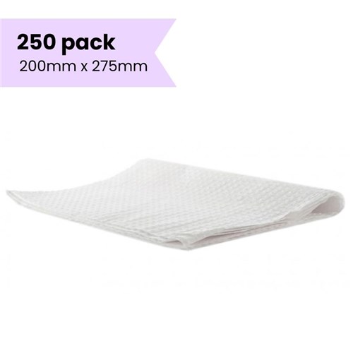 30697- 250 PACK